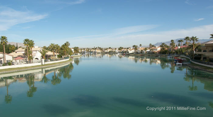 desert shores